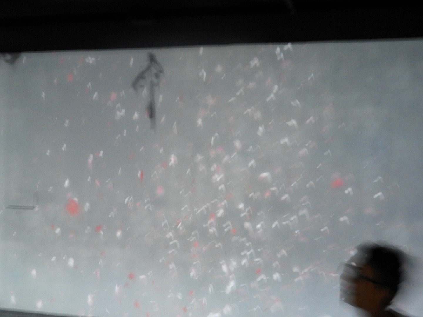 Univ. of British Columbia Anthropology Museum and adjacent scenery in Vancouver in British Columbia, Canada 34 of 53 (#1195)