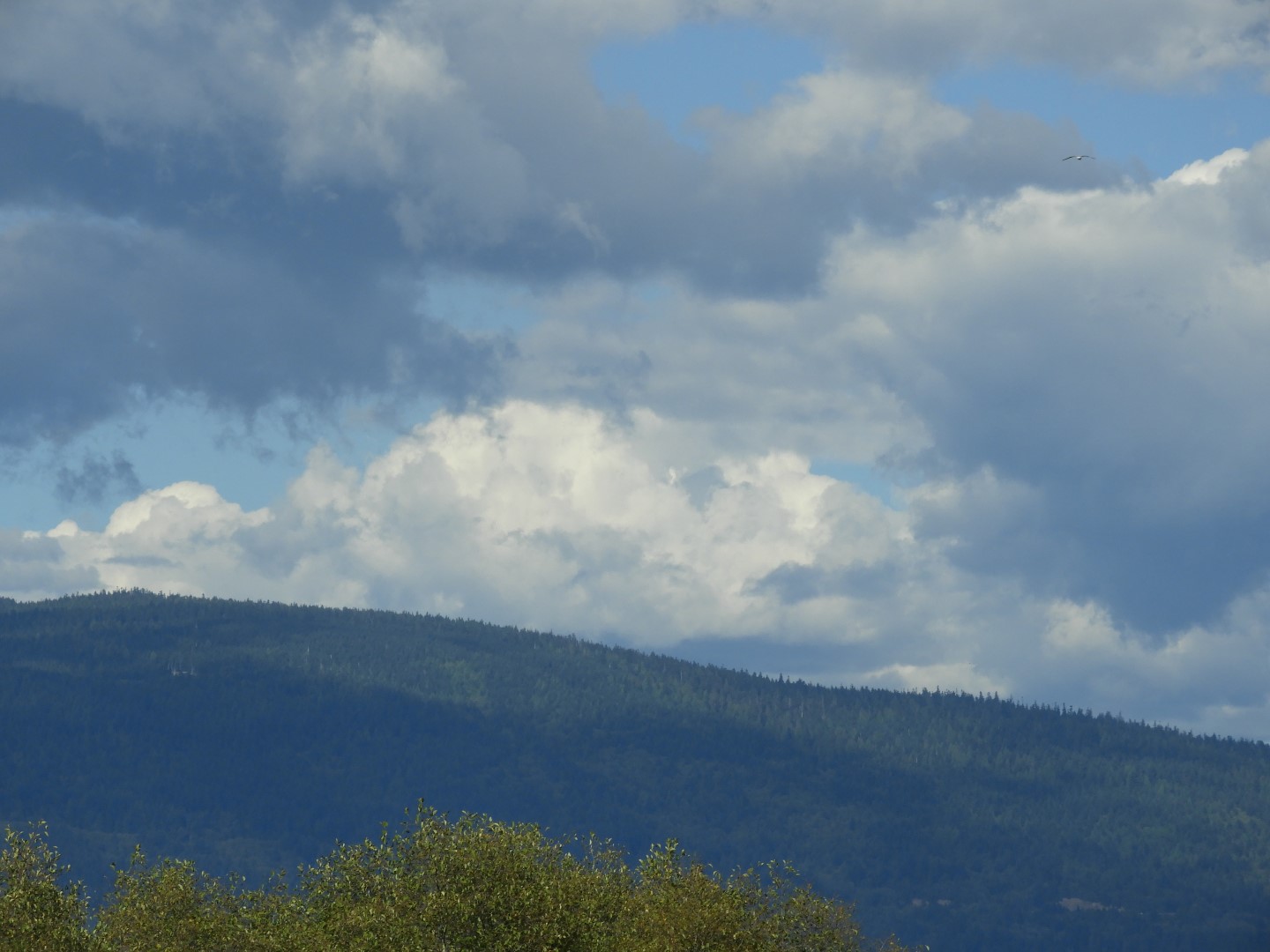 Univ. of British Columbia Anthropology Museum and adjacent scenery in Vancouver in British Columbia, Canada 42 of 53 (#1203)