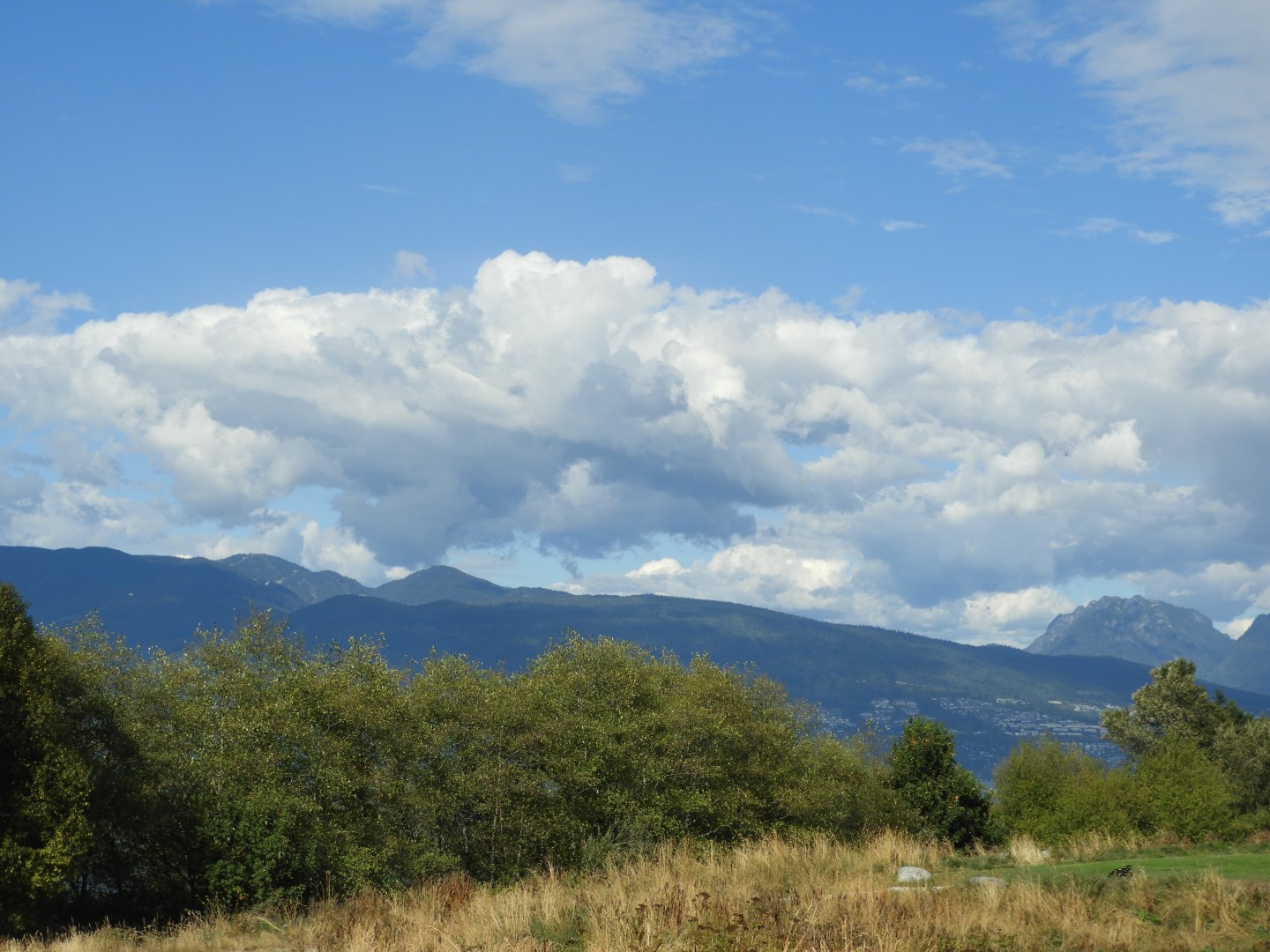 Univ. of British Columbia Anthropology Museum and adjacent scenery in Vancouver in British Columbia, Canada 45 of 53 (#1206)