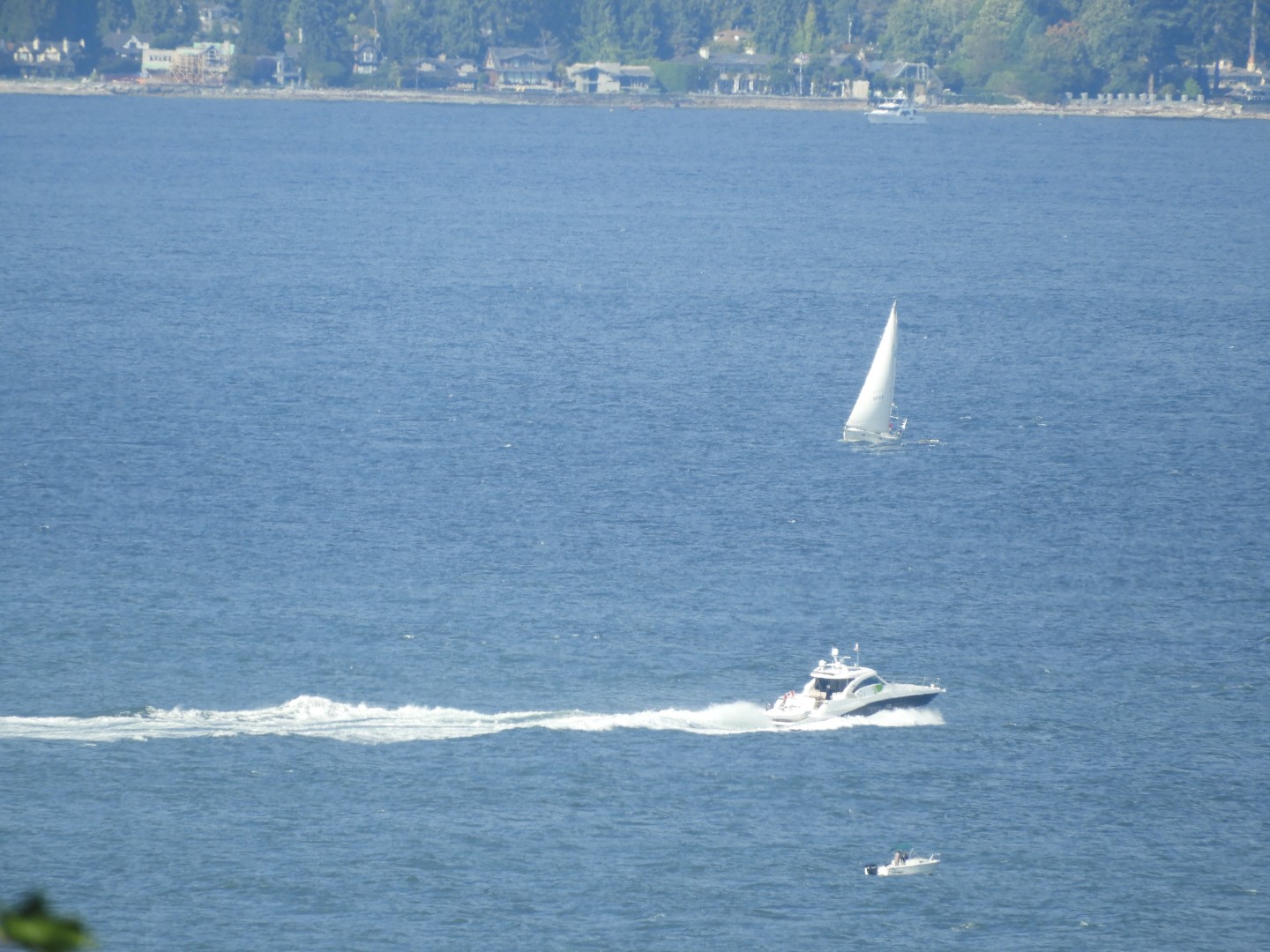 Univ. of British Columbia Anthropology Museum and adjacent scenery in Vancouver in British Columbia, Canada 50 of 53 (#1211)