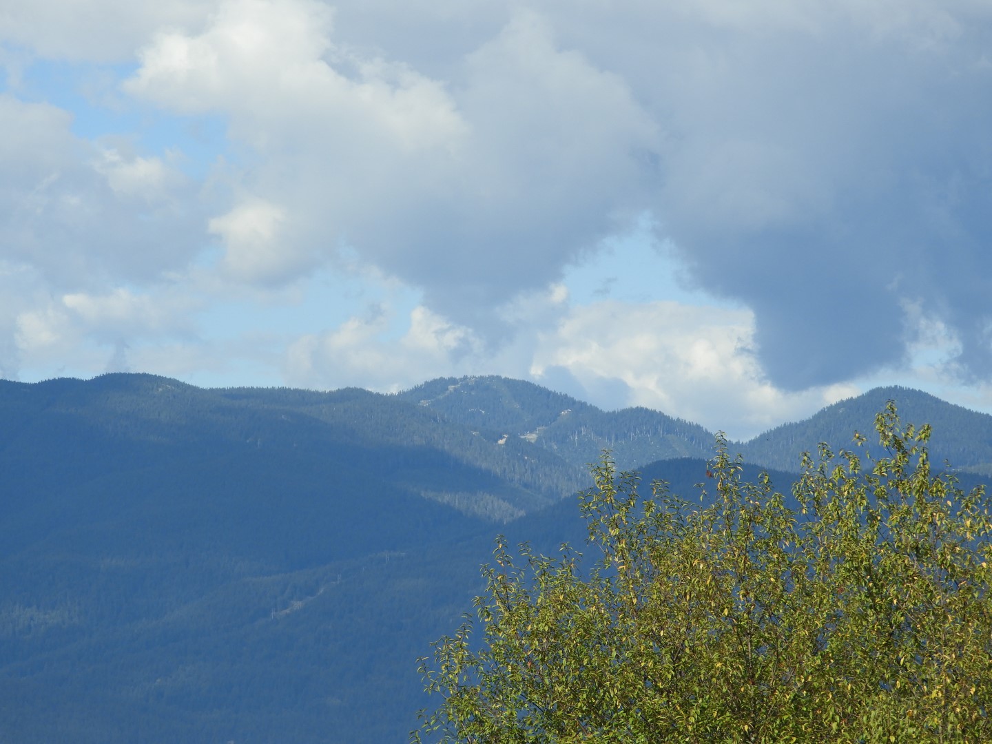 Univ. of British Columbia Anthropology Museum and adjacent scenery in Vancouver in British Columbia, Canada 52 of 53 (#1213)