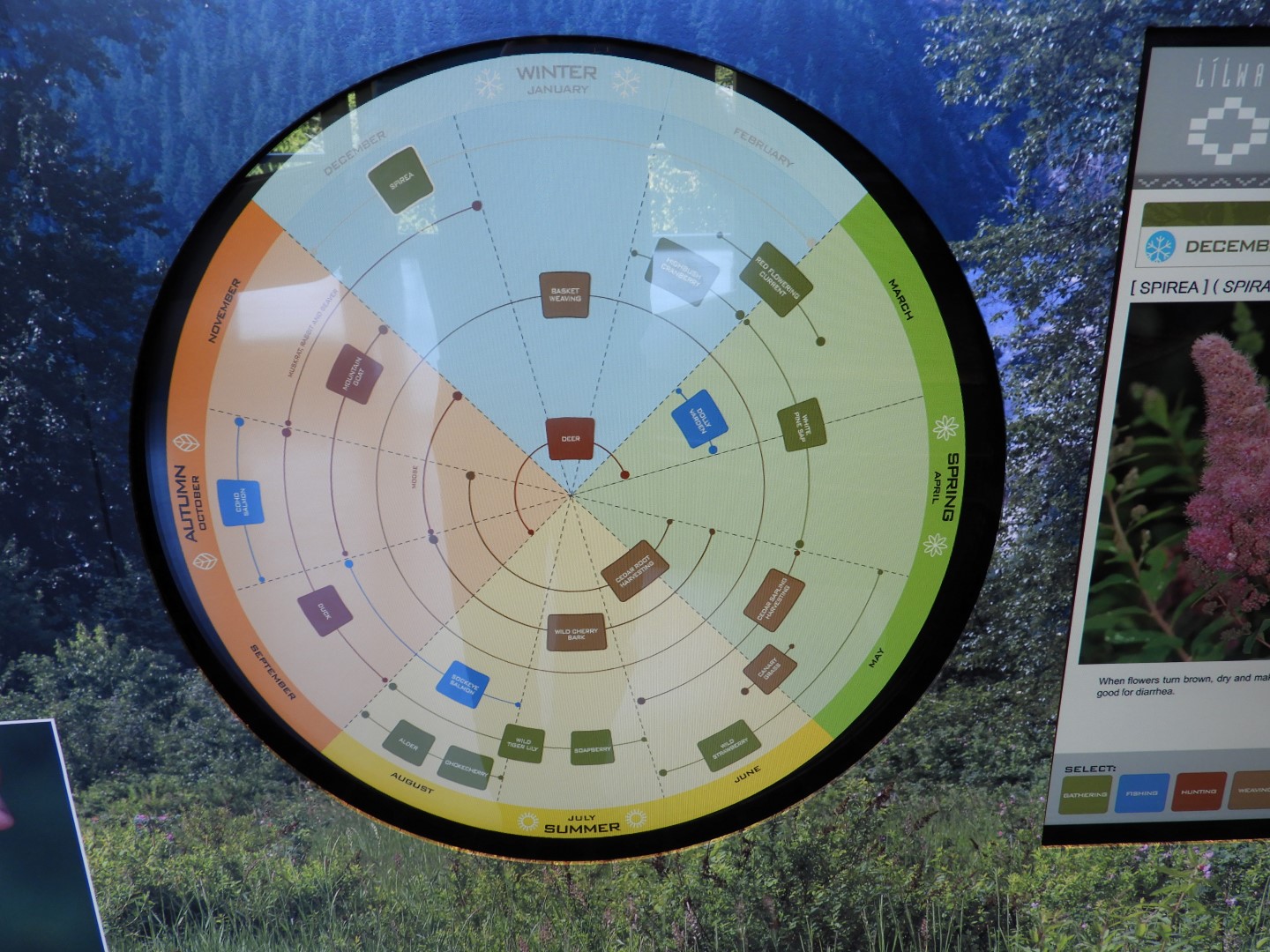 Squamish Culture Center in Whistler in British Columbia, Canada 21 of 53 (#1241)