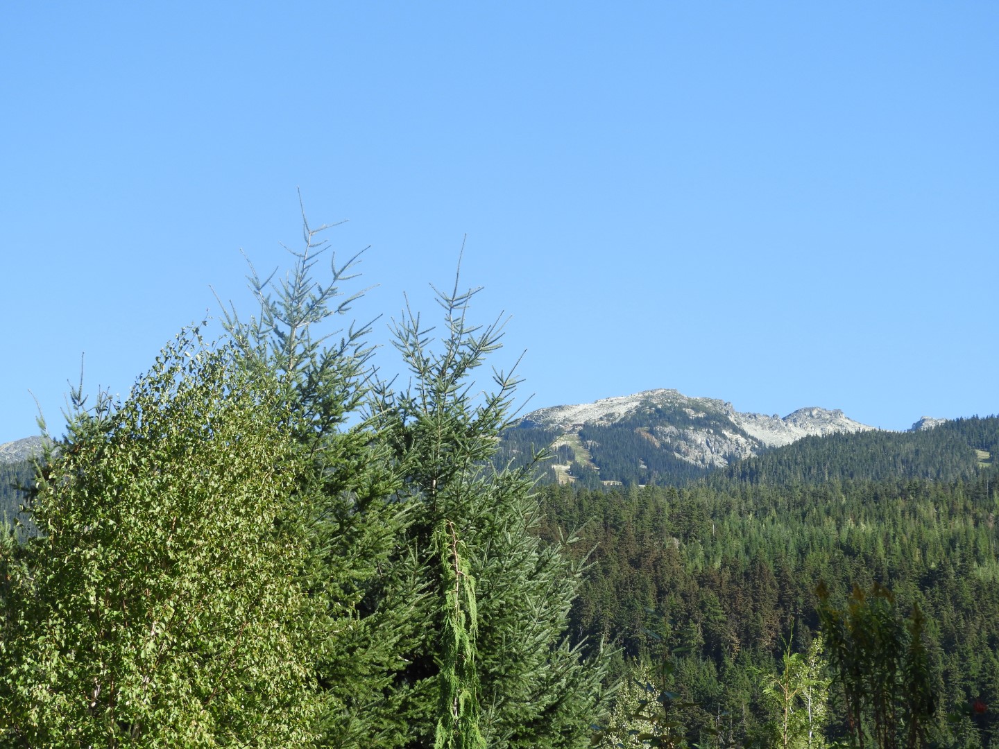 Squamish Culture Center in Whistler in British Columbia, Canada 47 of 53 (#1268)