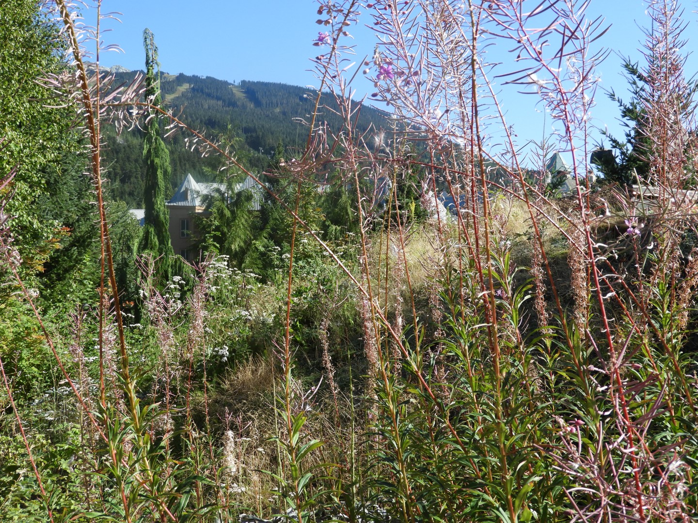 Squamish Culture Center in Whistler in British Columbia, Canada 52 of 53 (#1273)