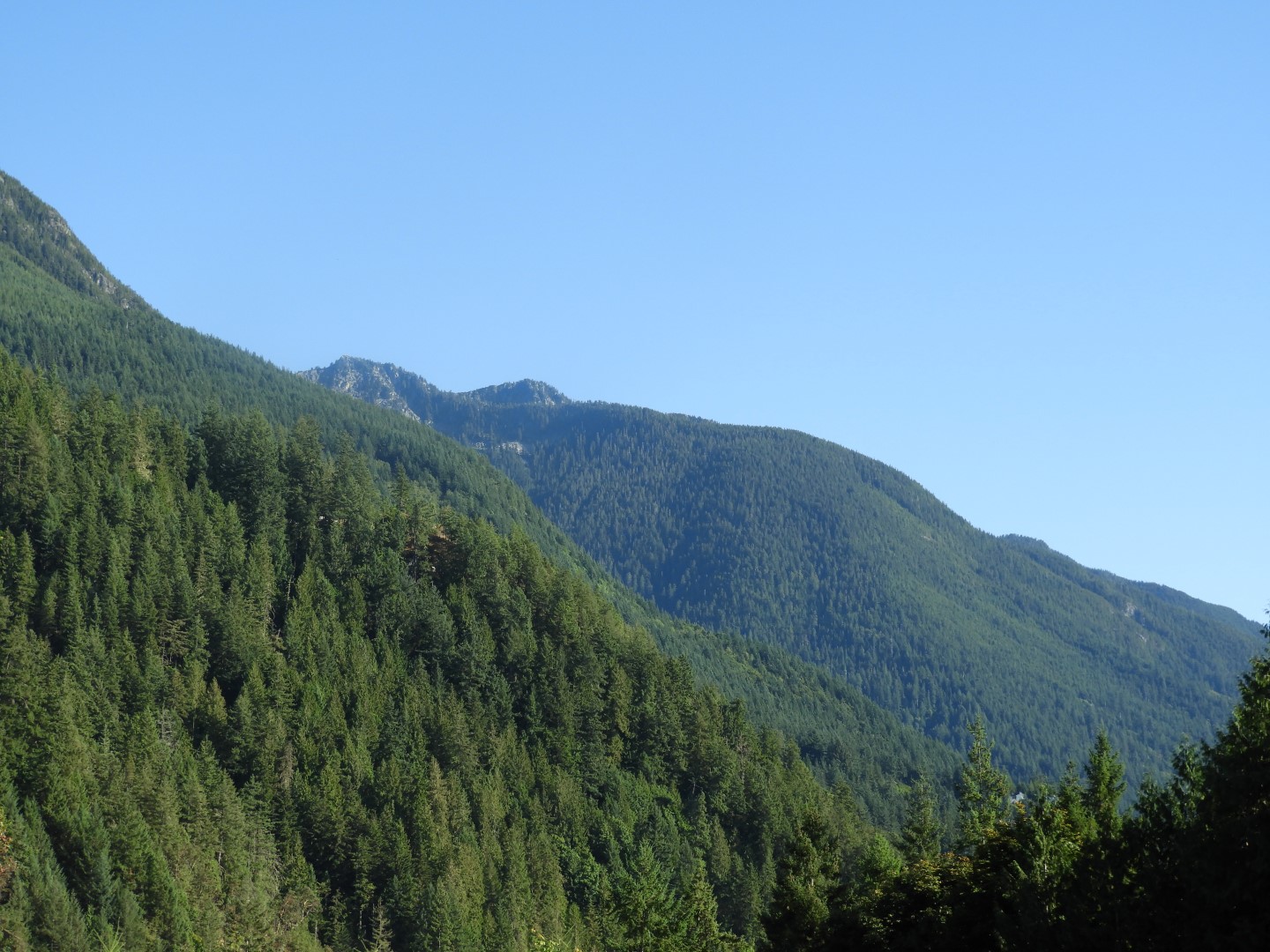 Scenery between Vancouver and Whistler in British Columbia, Canada 10 of 24 (#1288)