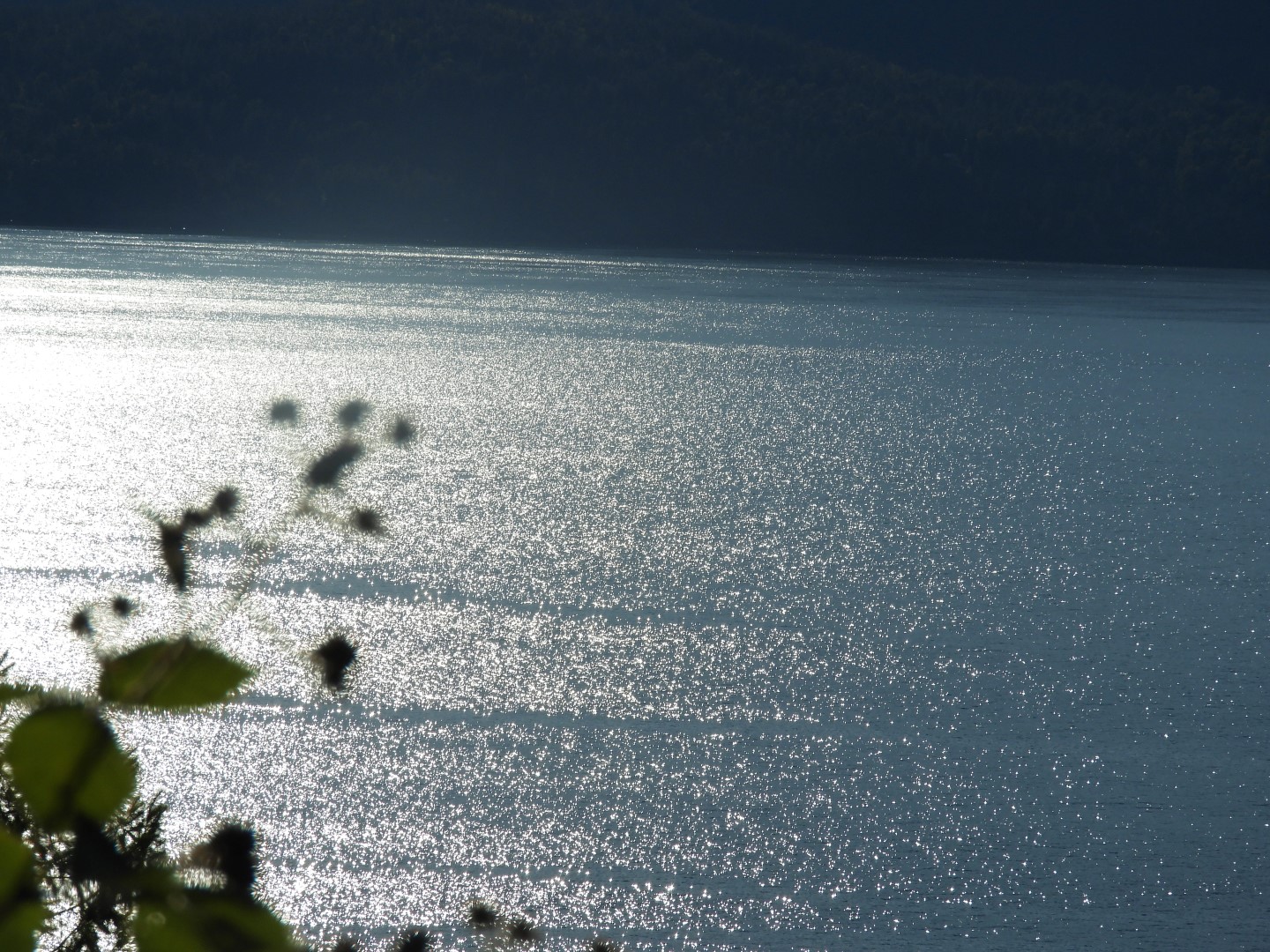 Scenery between Vancouver and Whistler in British Columbia, Canada 15 of 24 (#1293)