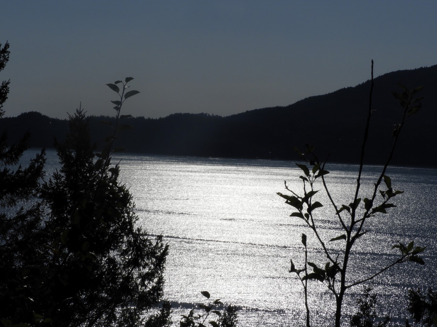 Scenery between Vancouver and Whistler in British Columbia, Canada 16 of 24 (#1294)