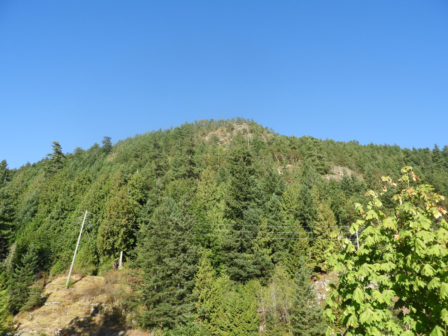 Scenery between Vancouver and Whistler in British Columbia, Canada 19 of 24 (#1297)