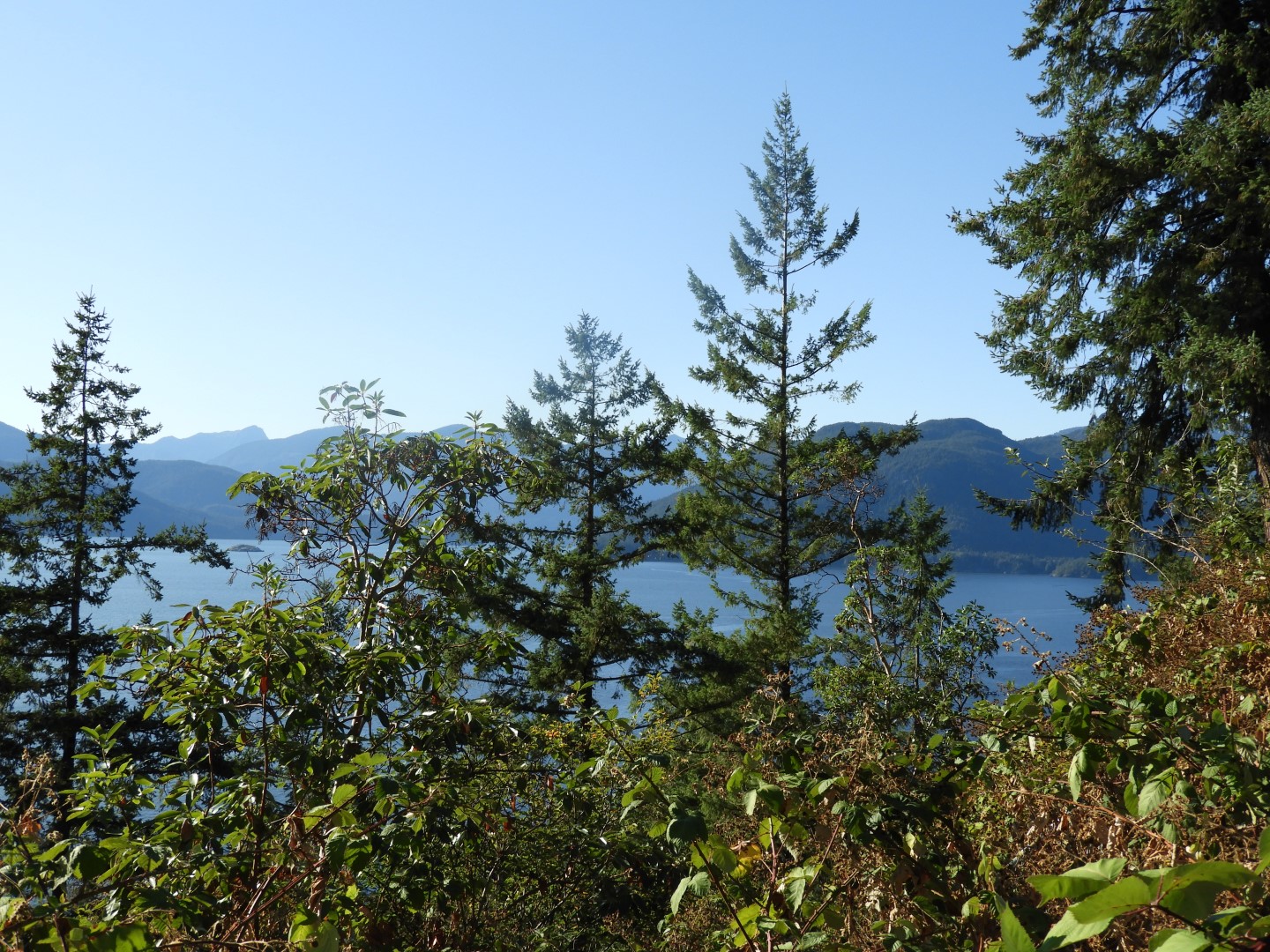 Scenery between Vancouver and Whistler in British Columbia, Canada 21 of 24 (#1299)