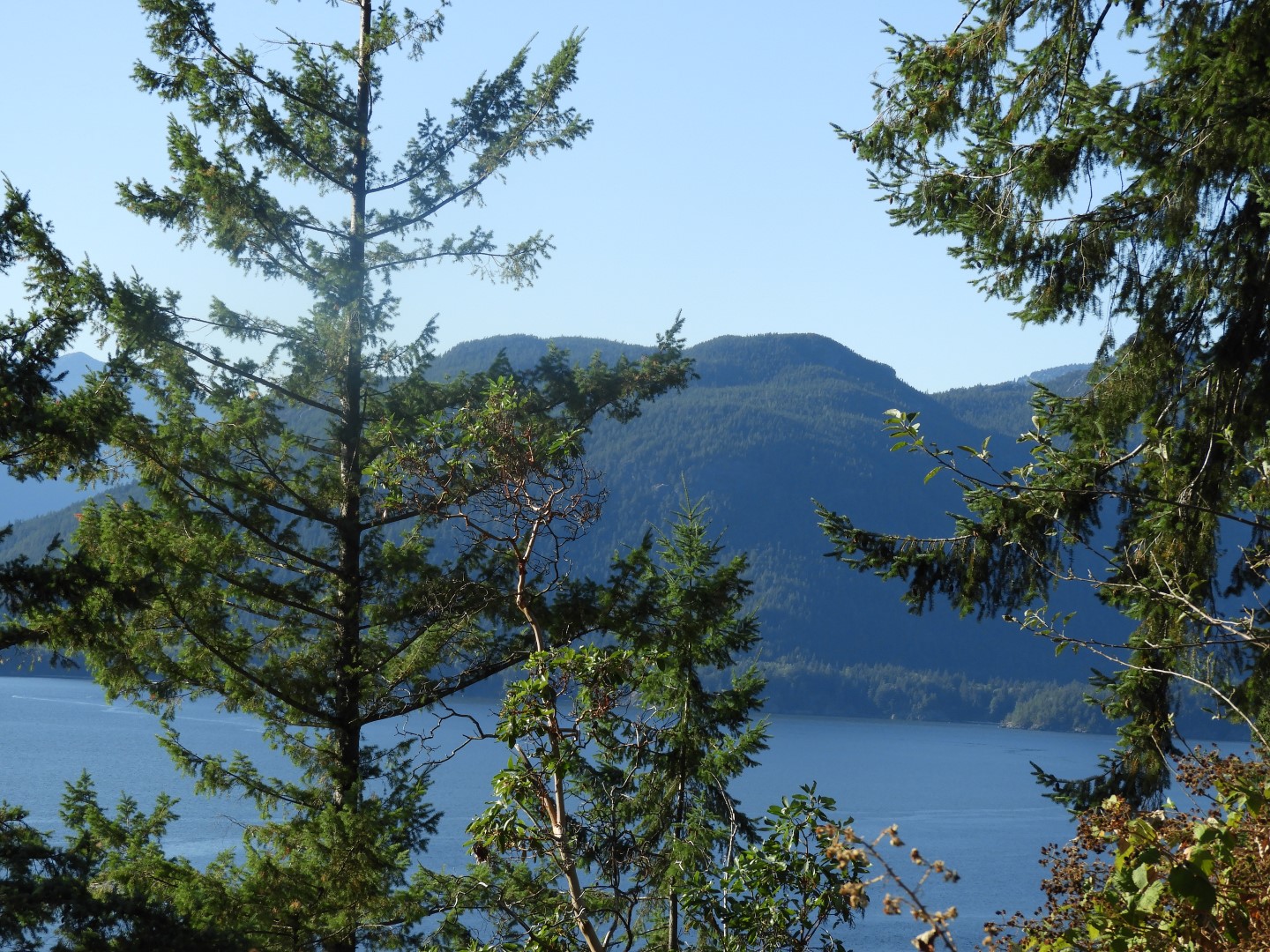 Scenery between Vancouver and Whistler in British Columbia, Canada 22 of 24 (#1300)