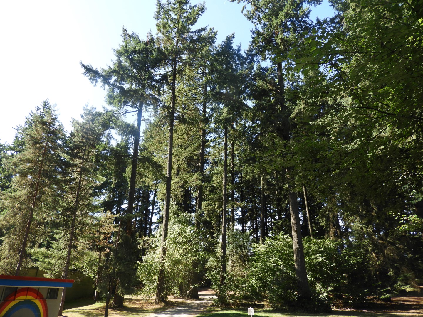 Queens Park in New Westminster, Canada  9 of 10 (#1312)