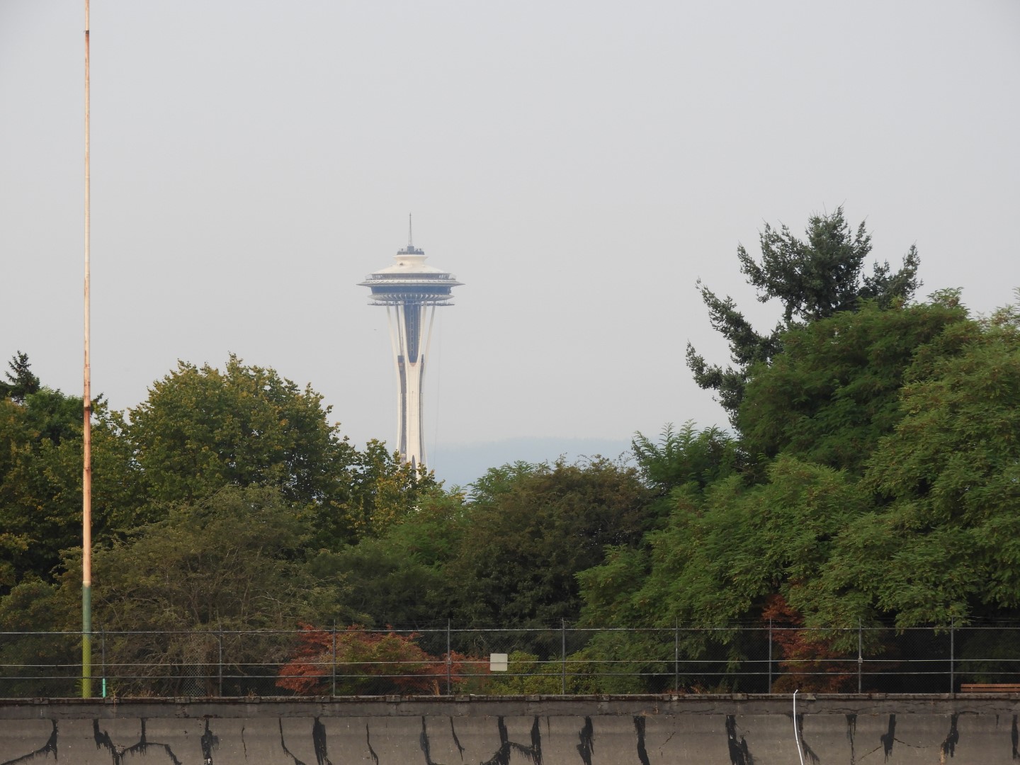 Volunteer Park in Seattle WA  1 of 10 (#1314)