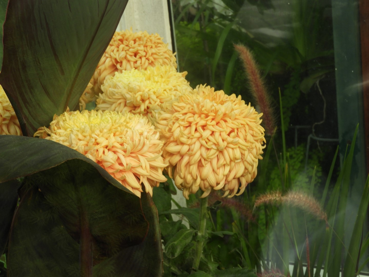 Volunteer Park in Seattle WA  2 of 10 (#1315)