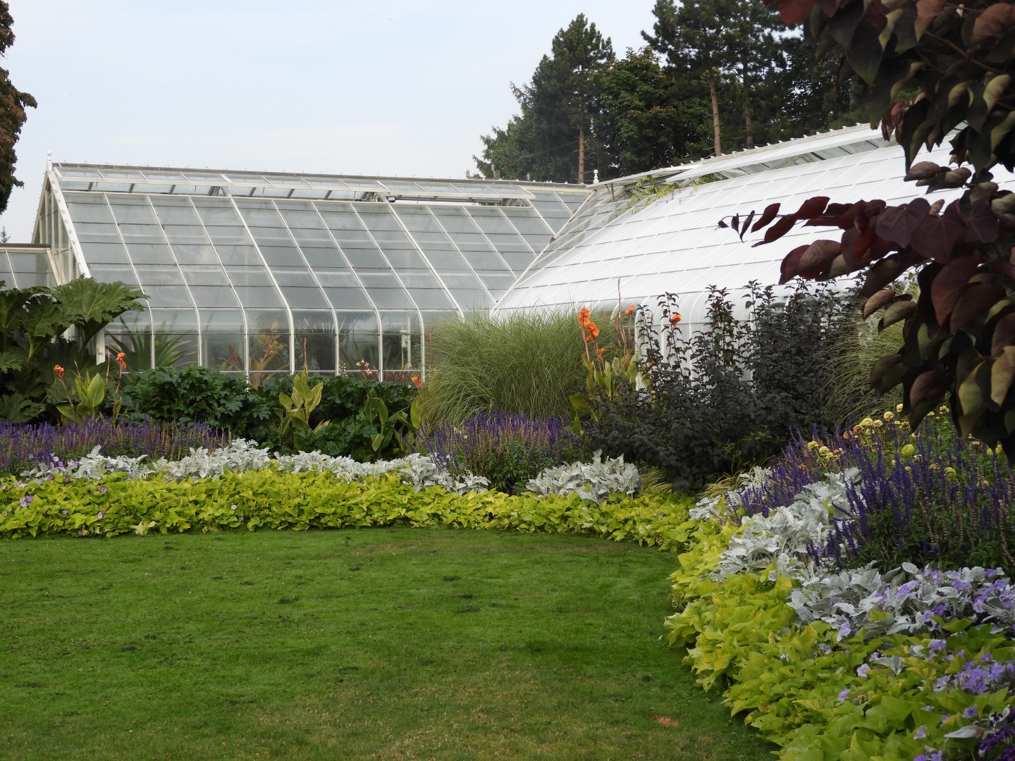 Volunteer Park in Seattle WA  3 of 10 (#1316)