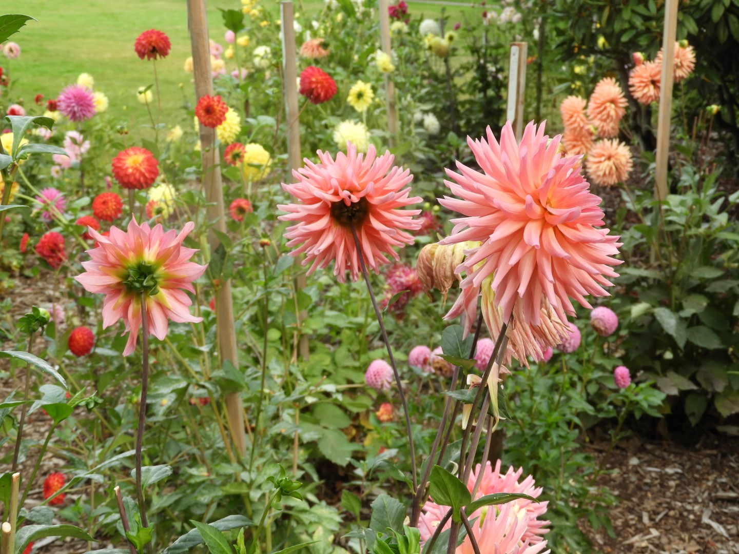 Volunteer Park in Seattle WA  6 of 10 (#1319)