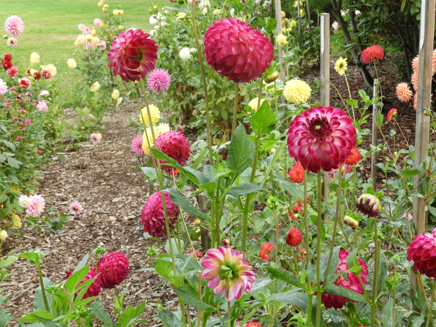 Volunteer Park in Seattle WA  7 of 10 (#1320)