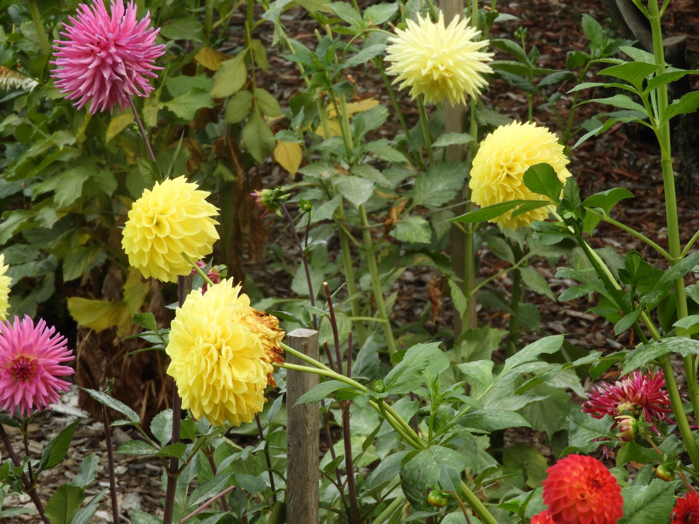 Volunteer Park in Seattle WA  8 of 10 (#1321)