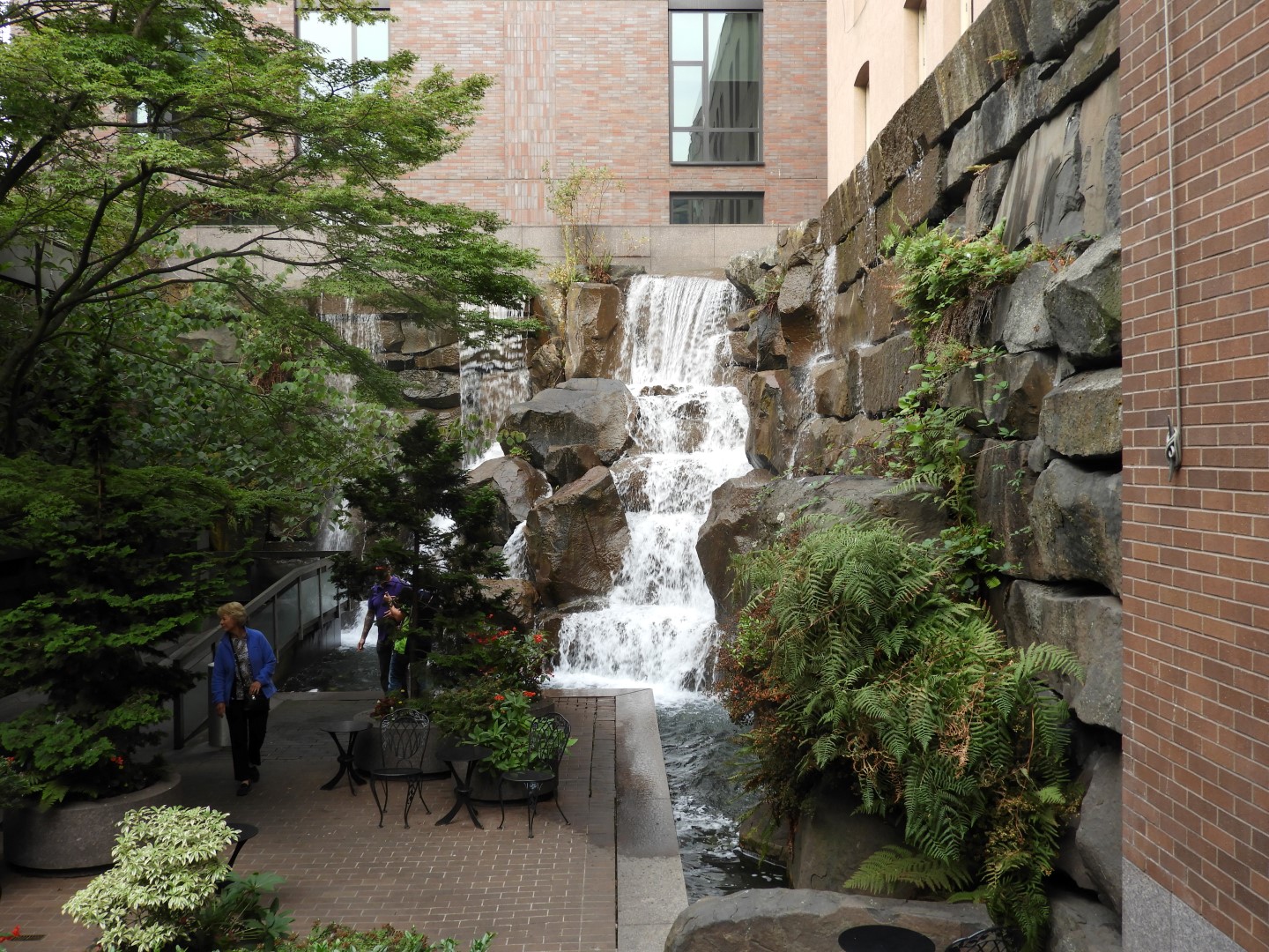 Volunteer Park in Seattle WA  1 of  5 (#1325)