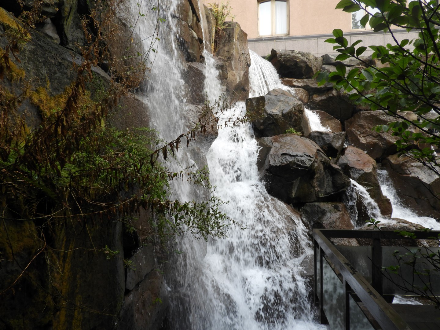 Volunteer Park in Seattle WA  5 of  5 (#1329)