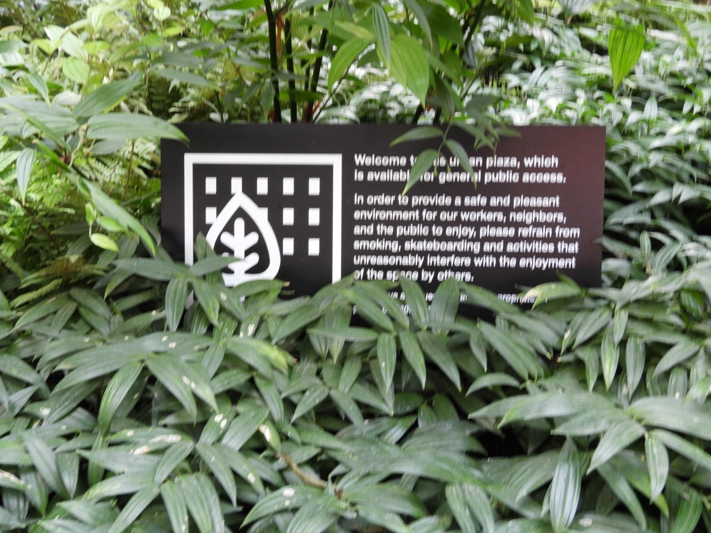 Amazon Campus in Seattle WA  3 of  8 (#1364)