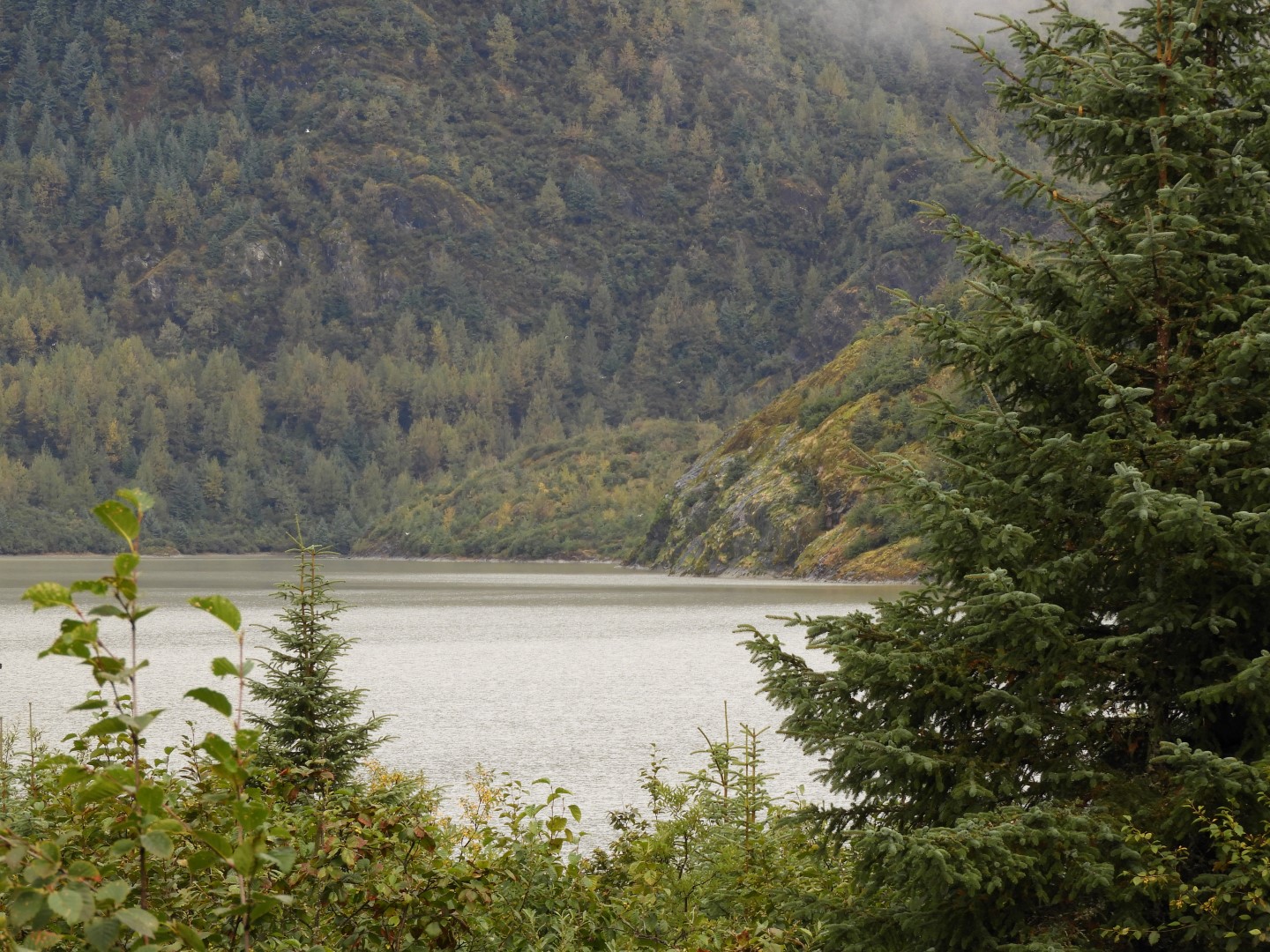 Scenes from Mendenhall Glacier Visitor Center in Juneau AK  6 of 30 (#1387)