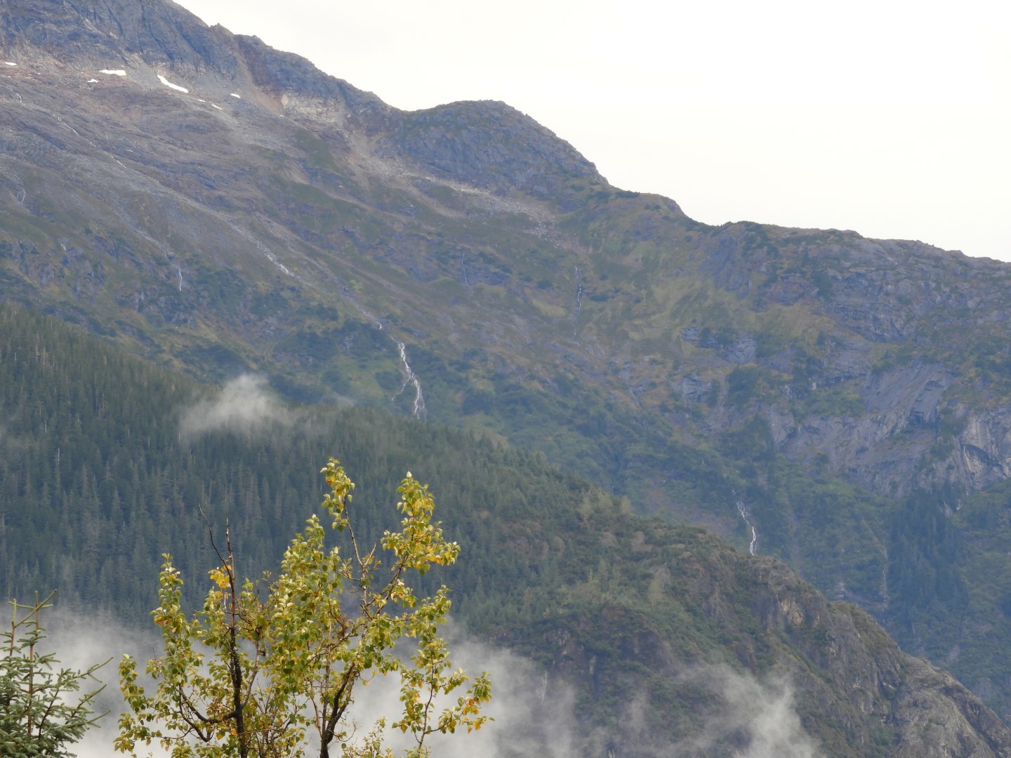 Scenes from Mendenhall Glacier Visitor Center in Juneau AK  8 of 30 (#1389)