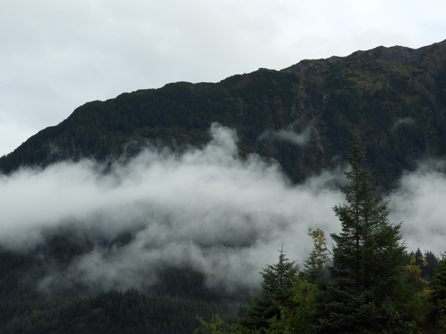 Scenes from Mendenhall Glacier Visitor Center in Juneau AK  9 of 30 (#1390)