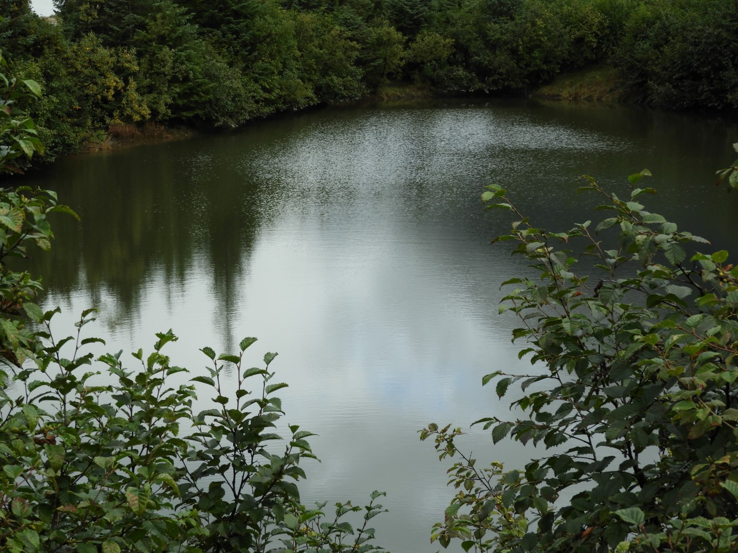 Scenes from Mendenhall Glacier Visitor Center in Juneau AK 11 of 30 (#1392)