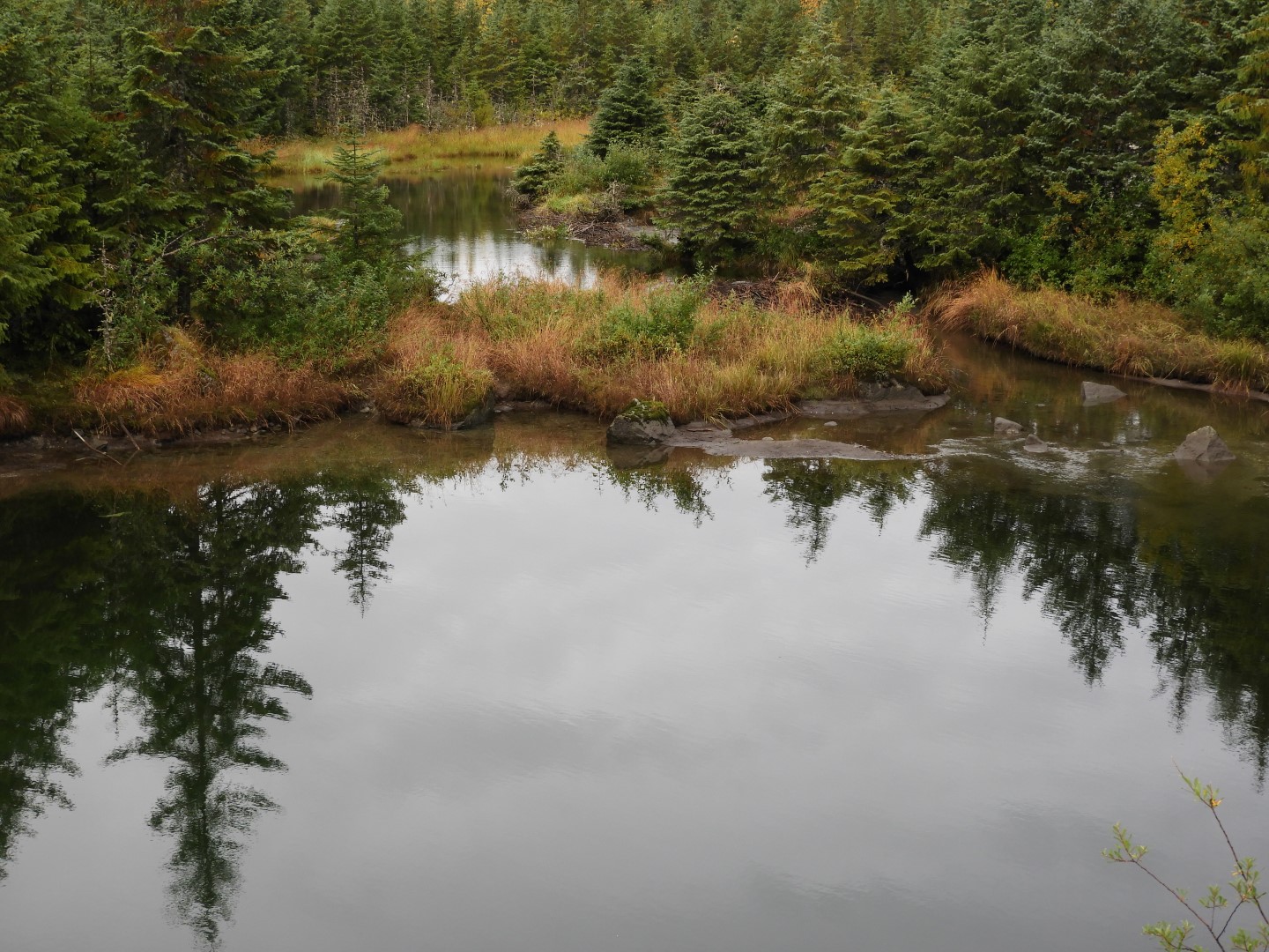 Scenes from Mendenhall Glacier Visitor Center in Juneau AK 12 of 30 (#1393)