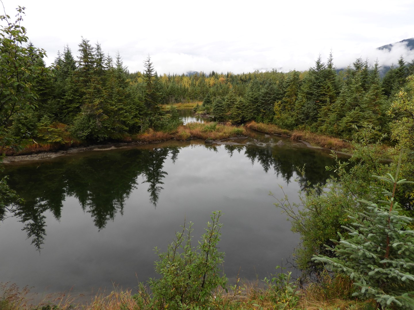 Scenes from Mendenhall Glacier Visitor Center in Juneau AK 13 of 30 (#1394)