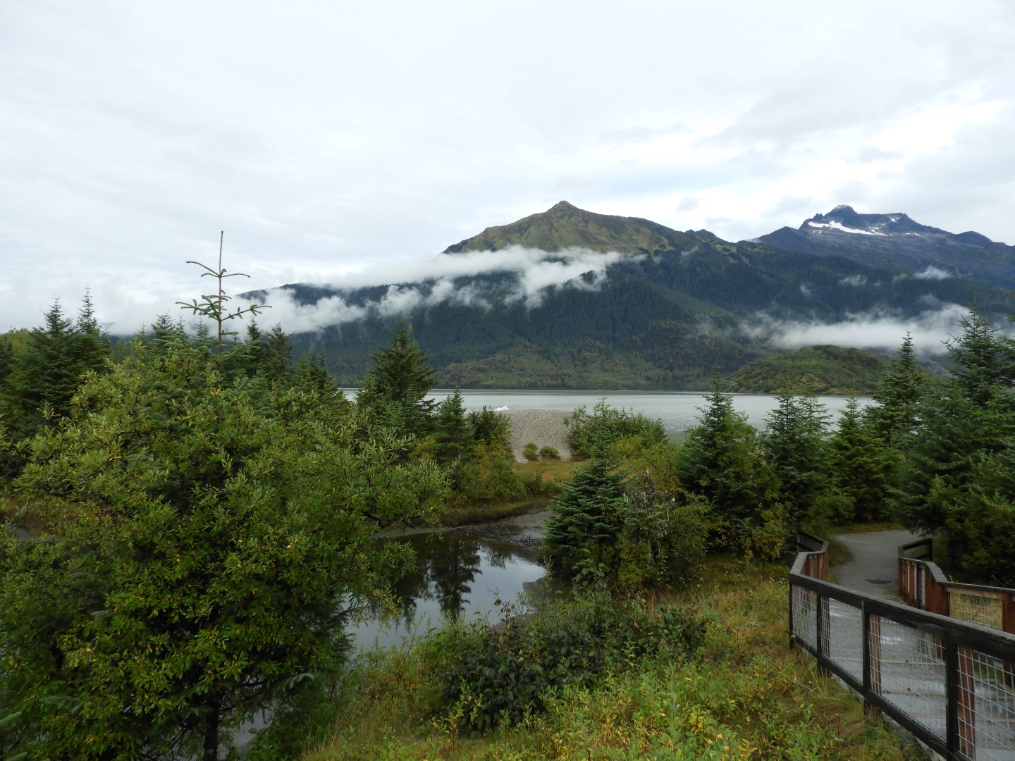 Scenes from Mendenhall Glacier Visitor Center in Juneau AK 14 of 30 (#1395)