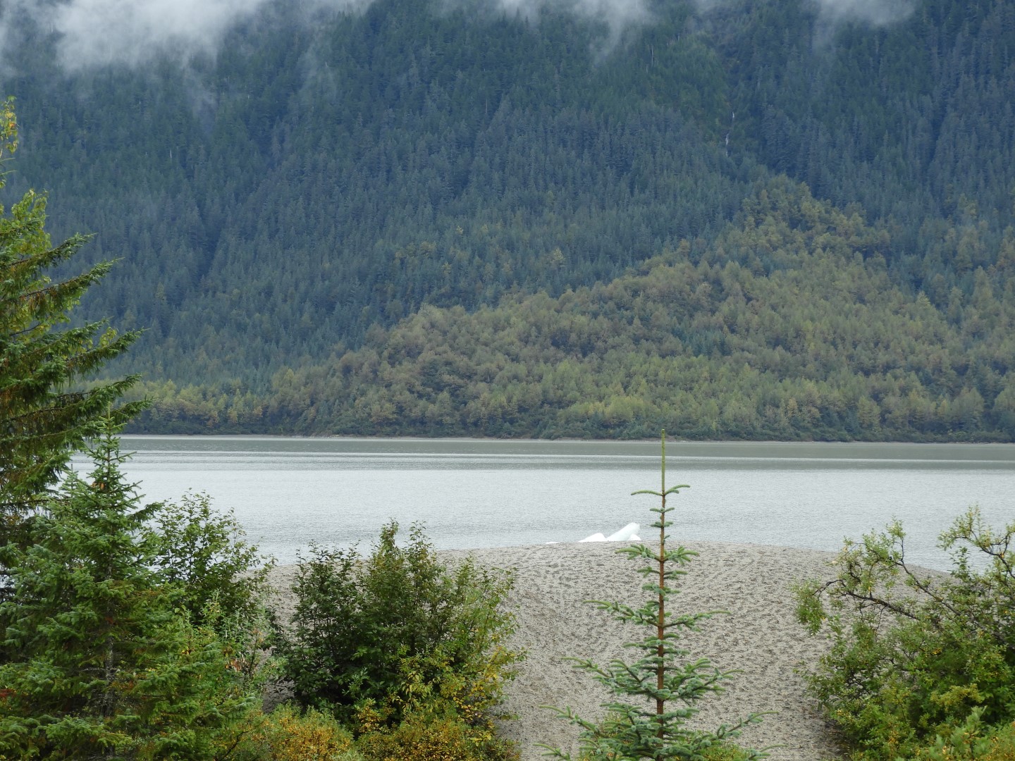 Scenes from Mendenhall Glacier Visitor Center in Juneau AK 16 of 30 (#1397)