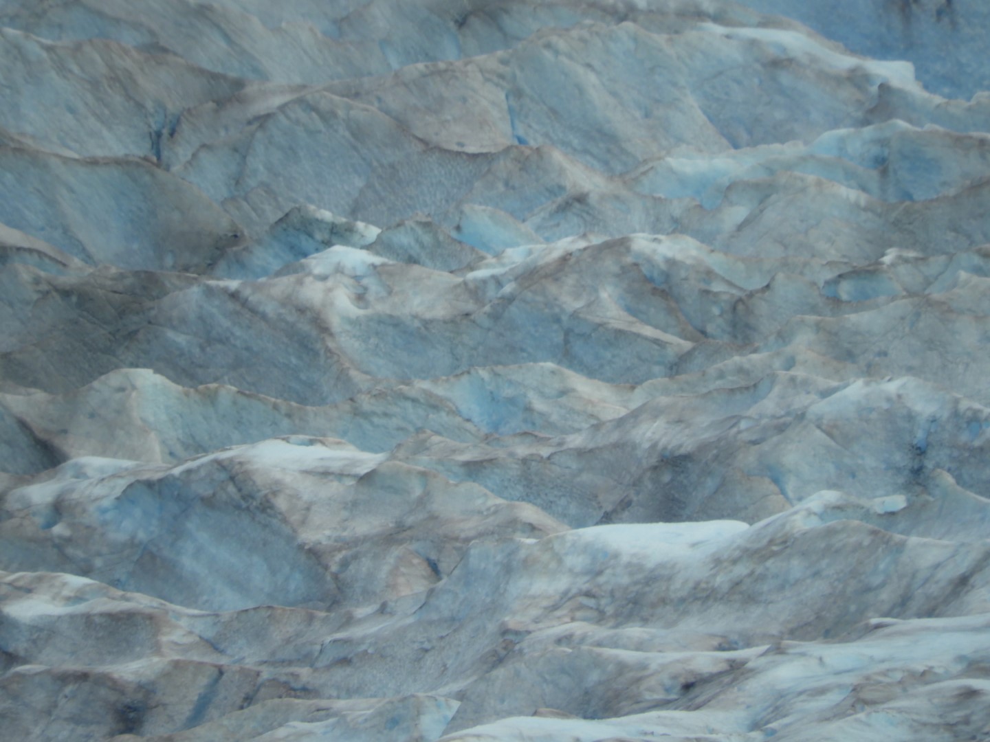 Scenes from Mendenhall Glacier Visitor Center in Juneau AK 20 of 30 (#1401)