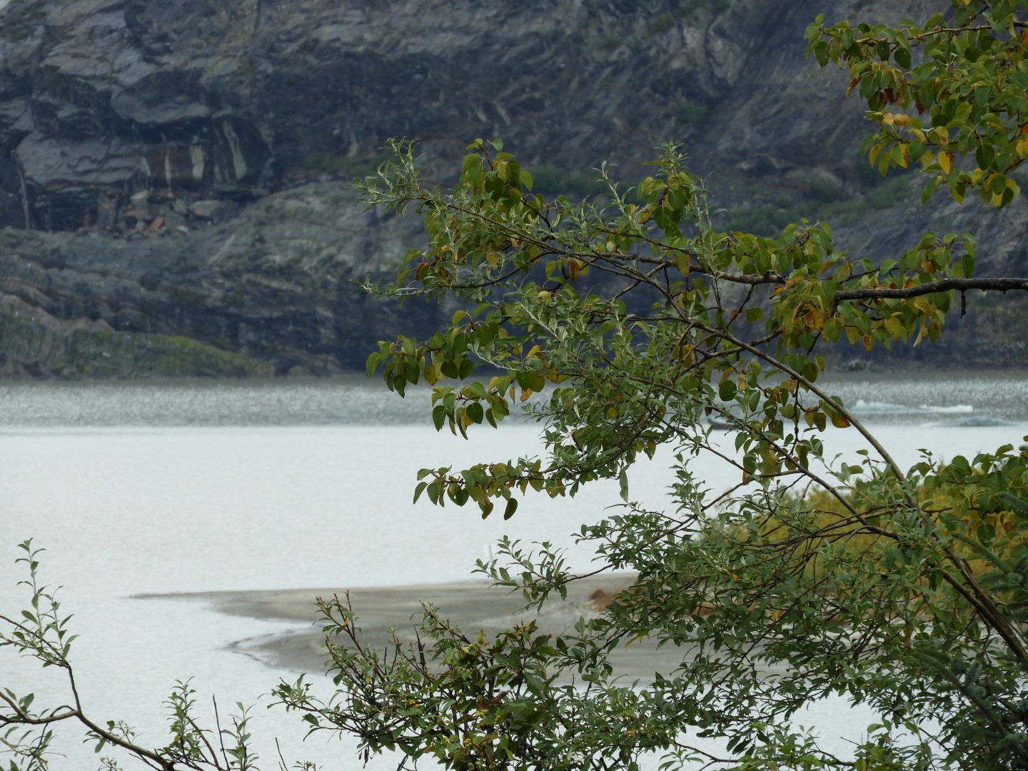Scenes from Mendenhall Glacier Visitor Center in Juneau AK 21 of 30 (#1402)