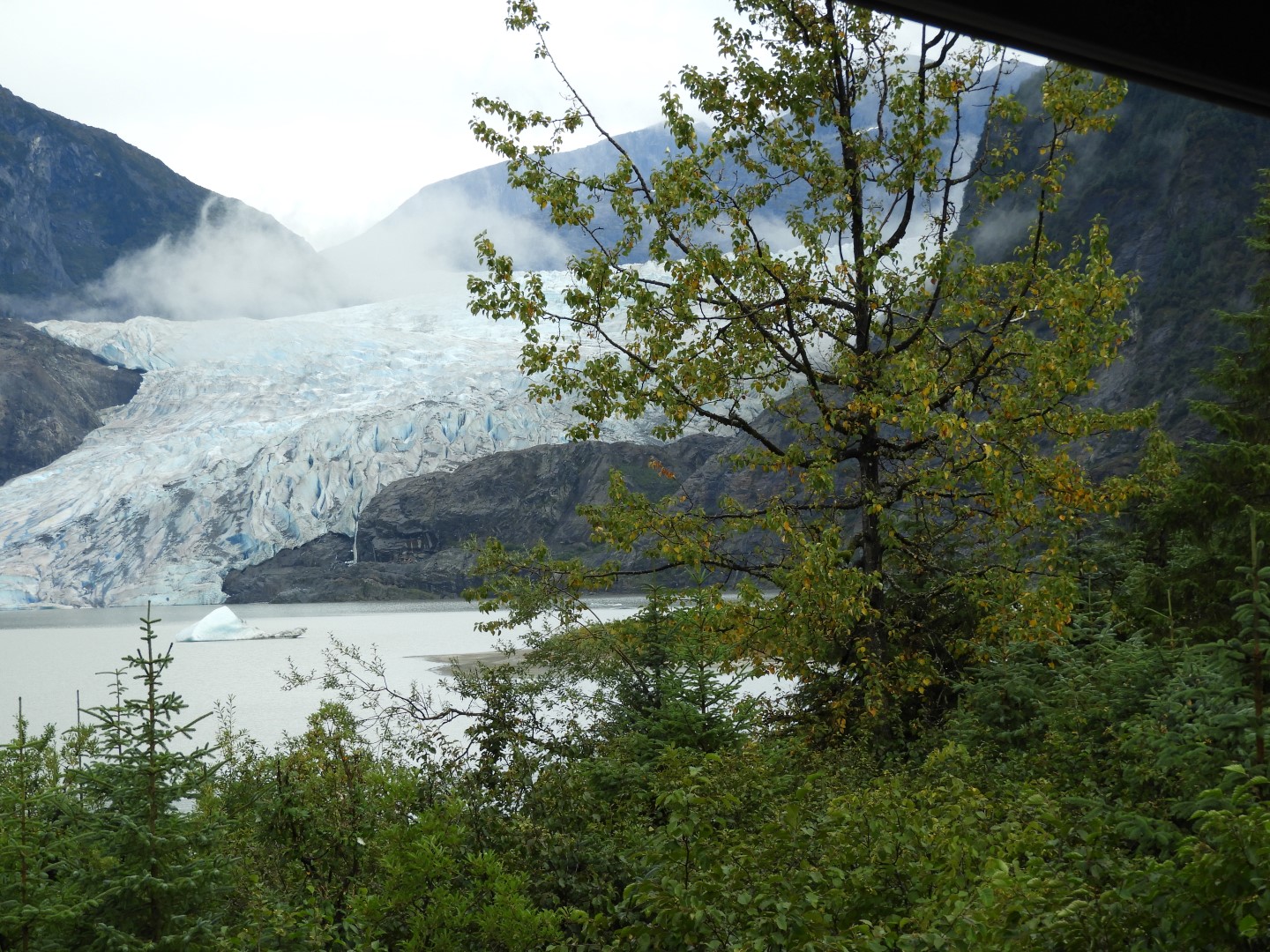 Scenes from Mendenhall Glacier Visitor Center in Juneau AK 23 of 30 (#1404)