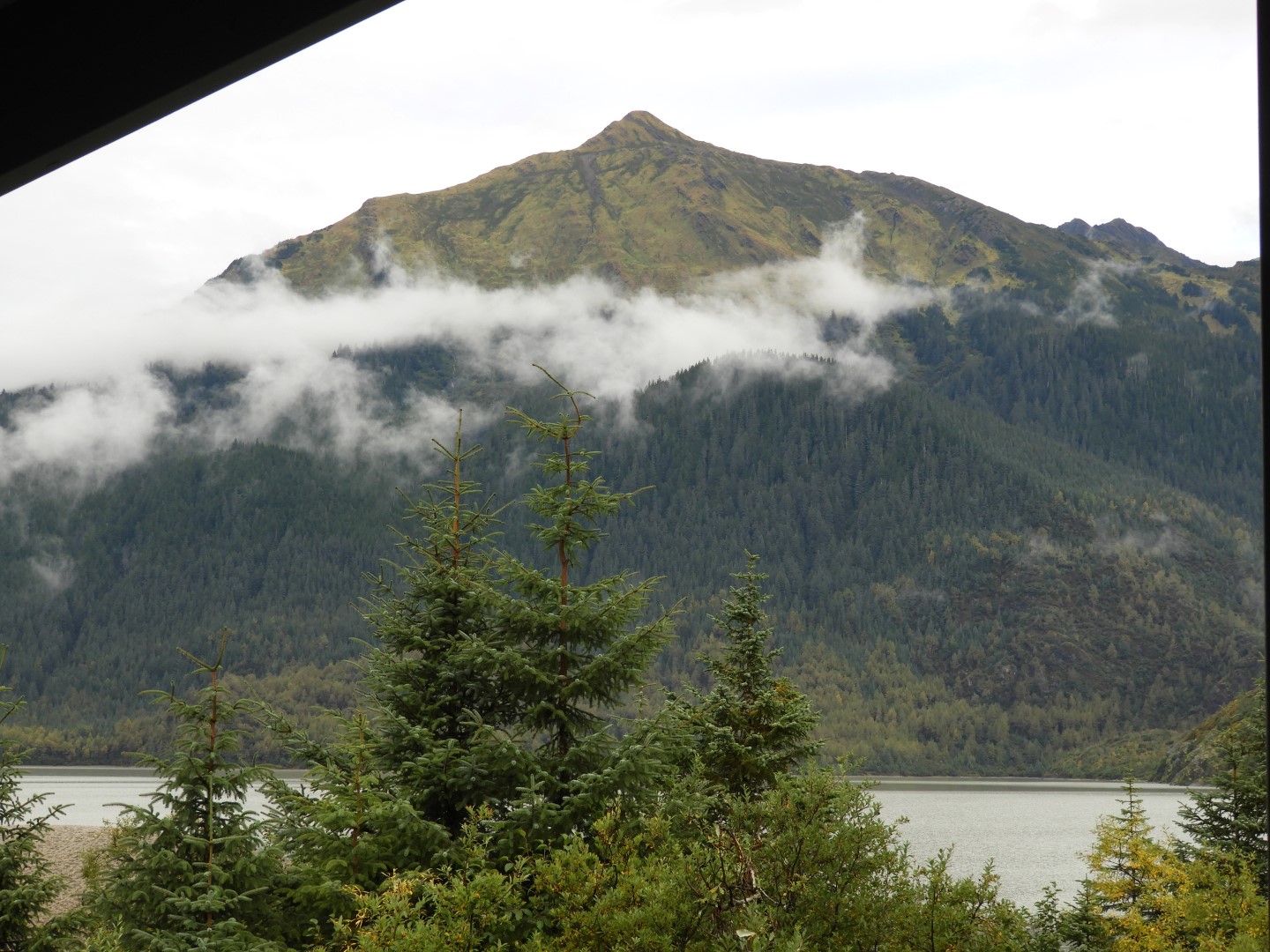 Scenes from Mendenhall Glacier Visitor Center in Juneau AK 25 of 30 (#1406)