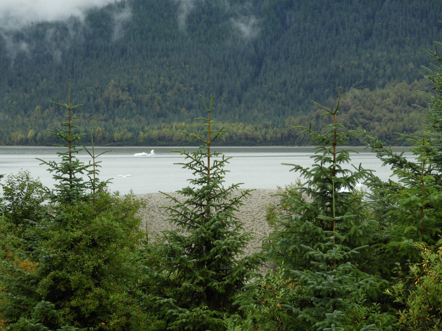 Scenes from Mendenhall Glacier Visitor Center in Juneau AK 26 of 30 (#1407)