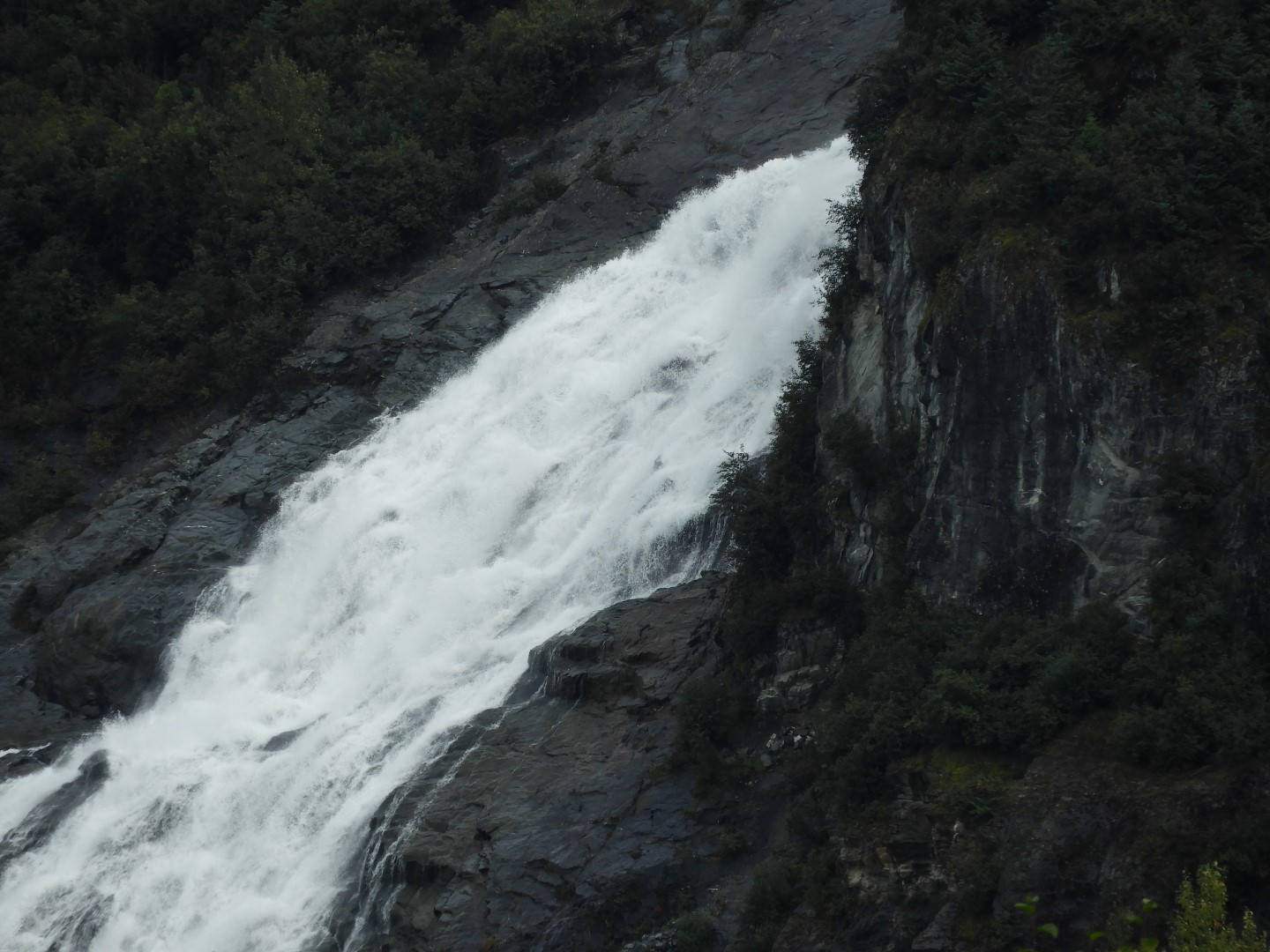Scenes from Mendenhall Glacier Visitor Center in Juneau AK 27 of 30 (#1408)