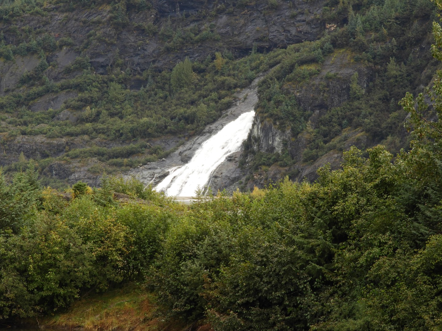 Scenes from Mendenhall Glacier Visitor Center in Juneau AK 28 of 30 (#1409)