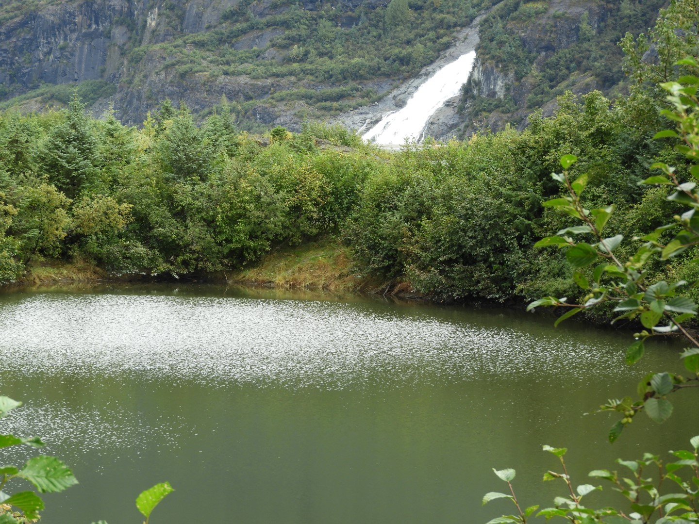 Scenes from Mendenhall Glacier Visitor Center in Juneau AK 29 of 30 (#1410)