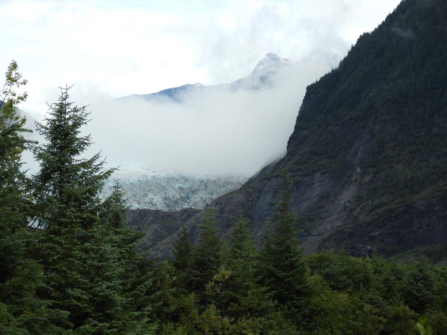 Scenes from Mendenhall Glacier Visitor Center in Juneau AK 30 of 30 (#1411)