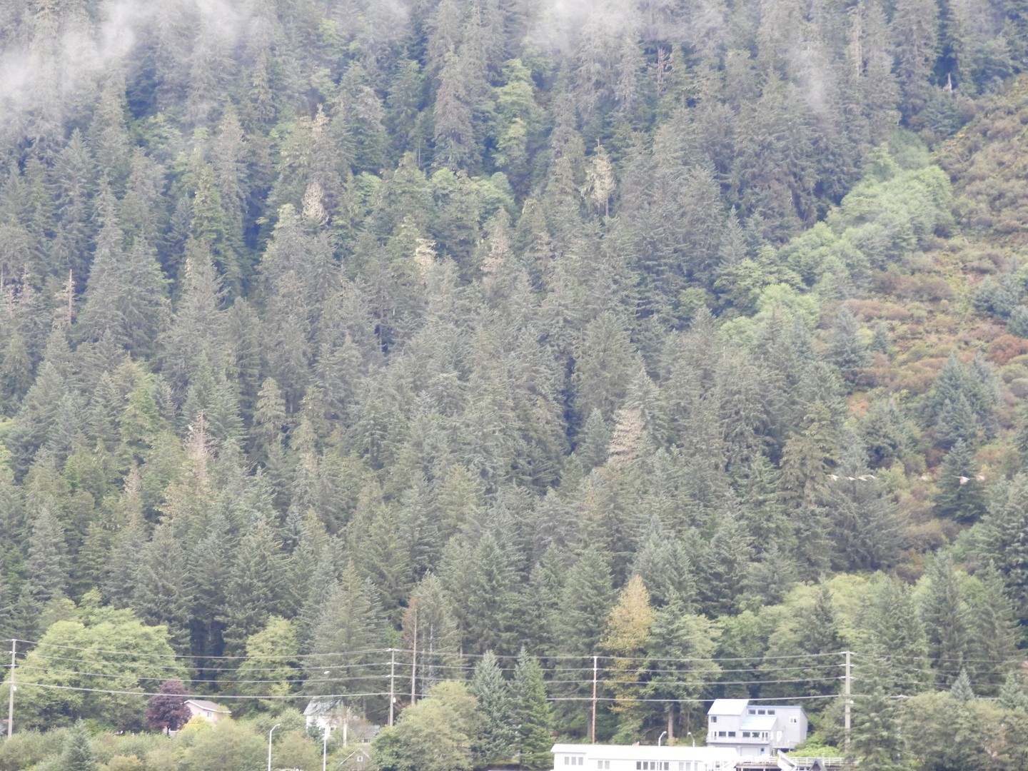 Looking at Juneau AK the North Douglas Hwy on Douglas Island  1 of 10 (#1412)