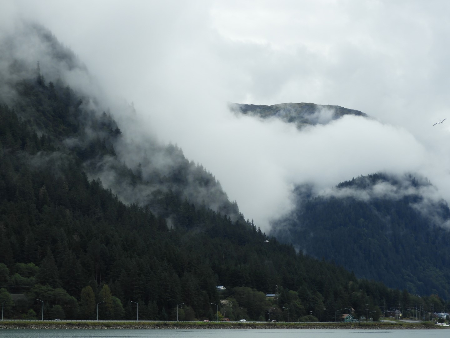 Looking at Juneau AK the North Douglas Hwy on Douglas Island  4 of 10 (#1415)