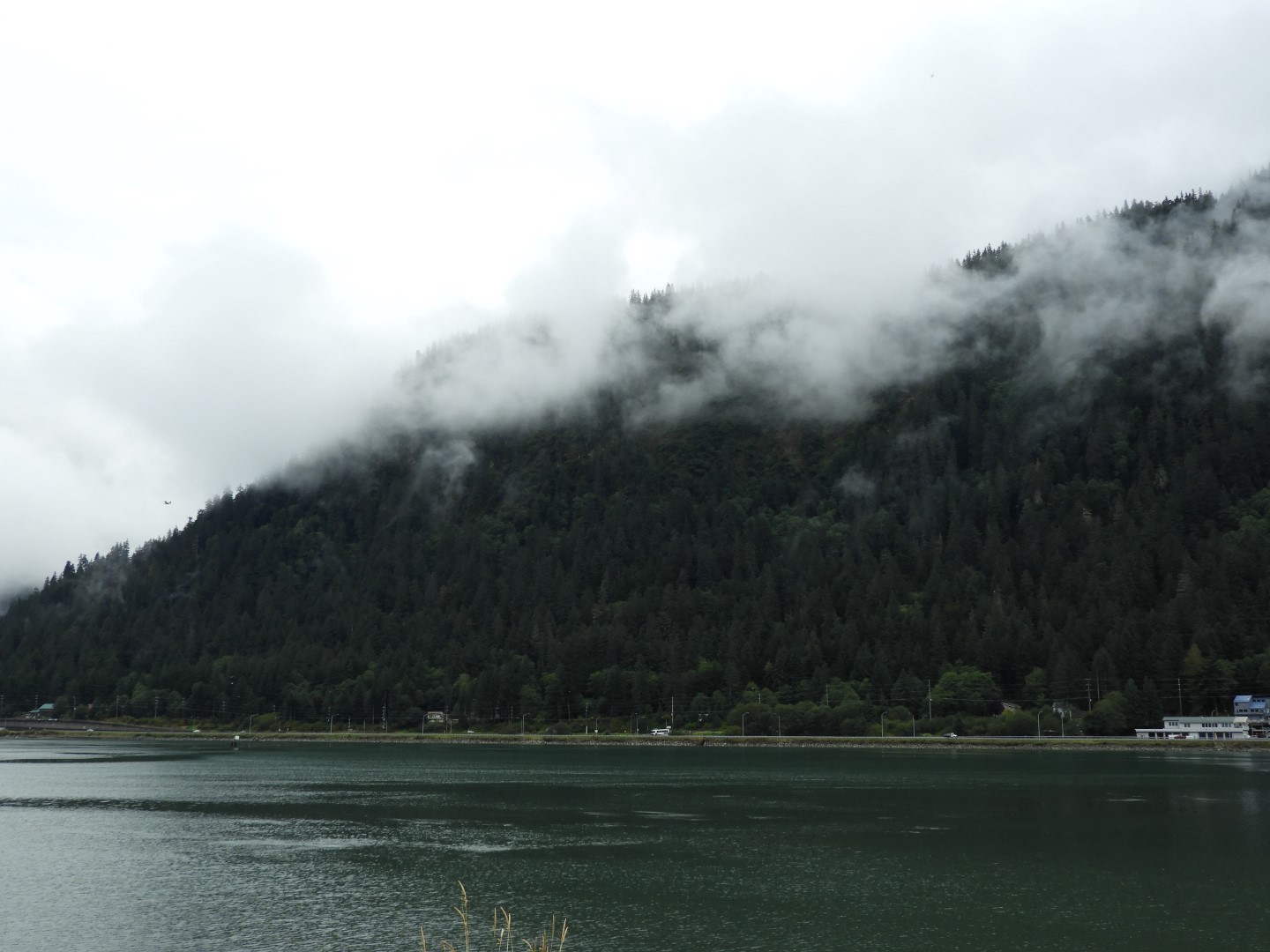 Looking at Juneau AK the North Douglas Hwy on Douglas Island  7 of 10 (#1418)
