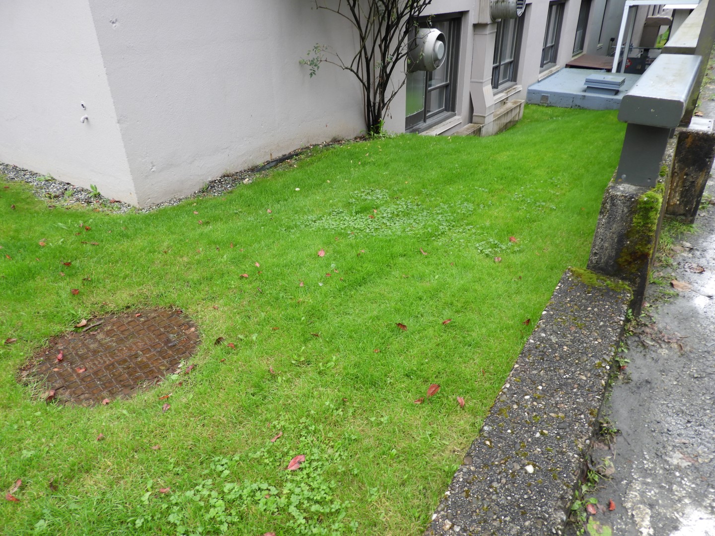 Downtown Juneau AK  2 of  8 (#1429)