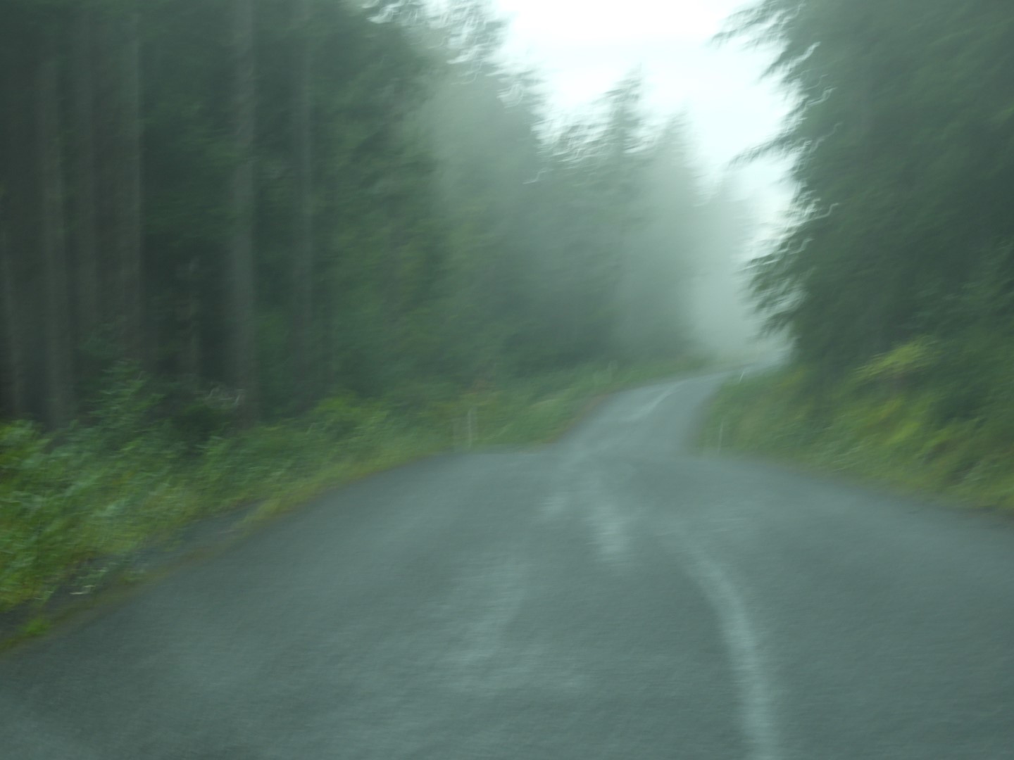 Western Glacier Highway in Juneau AK  1 of 14 (#1436)