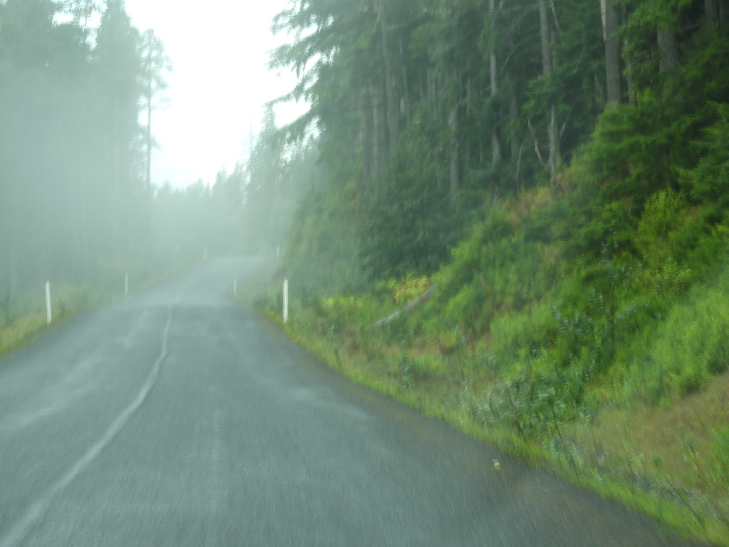 Western Glacier Highway in Juneau AK  2 of 14 (#1437)