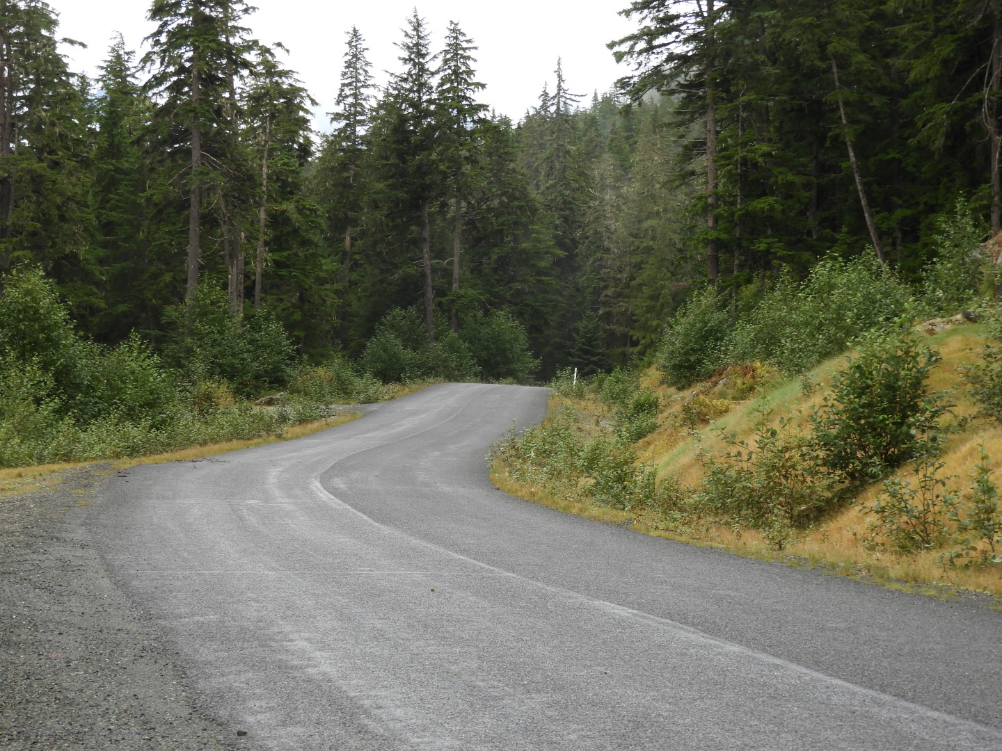 Western Glacier Highway in Juneau AK  3 of 14 (#1438)