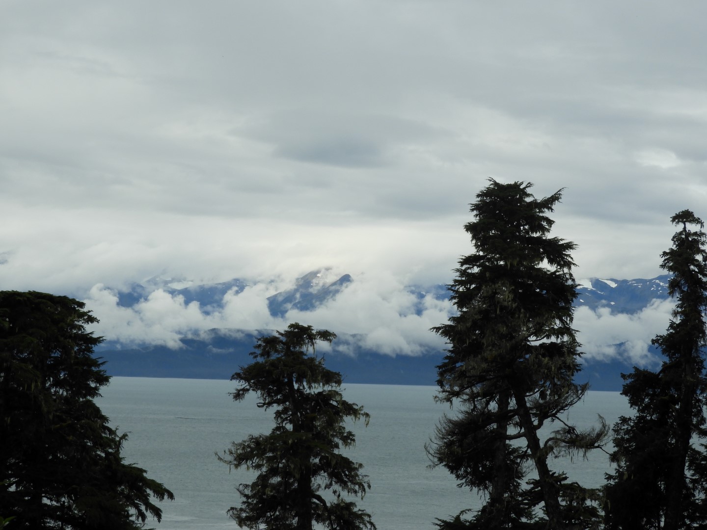 Western Glacier Highway in Juneau AK  4 of 14 (#1439)