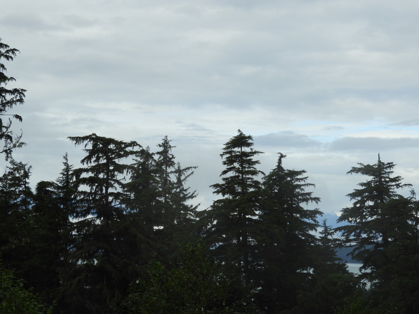 Western Glacier Highway in Juneau AK  5 of 14 (#1440)